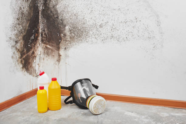 Best Crawl Space Mold Removal  in Magalia, CA