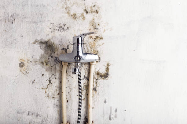 Best Mold Testing  in Magalia, CA