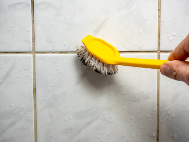 Best Local Mold Removal Service  in Magalia, CA