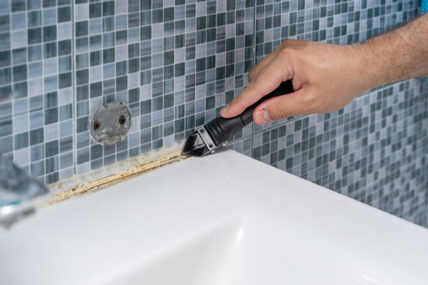Best Emergency Mold Removal  in Magalia, CA