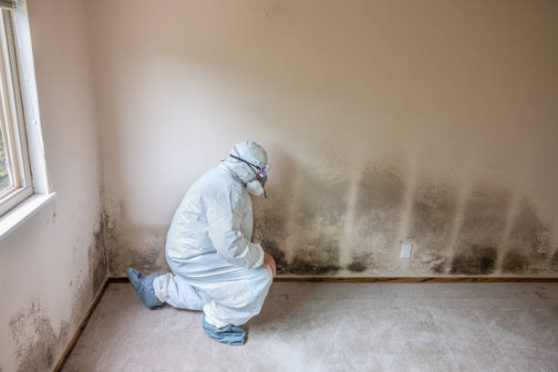 Best Mold Testing  in Magalia, CA